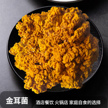 云南特产深山干黄耳脑耳木耳菇干货黄金木耳非银耳批发金耳干货