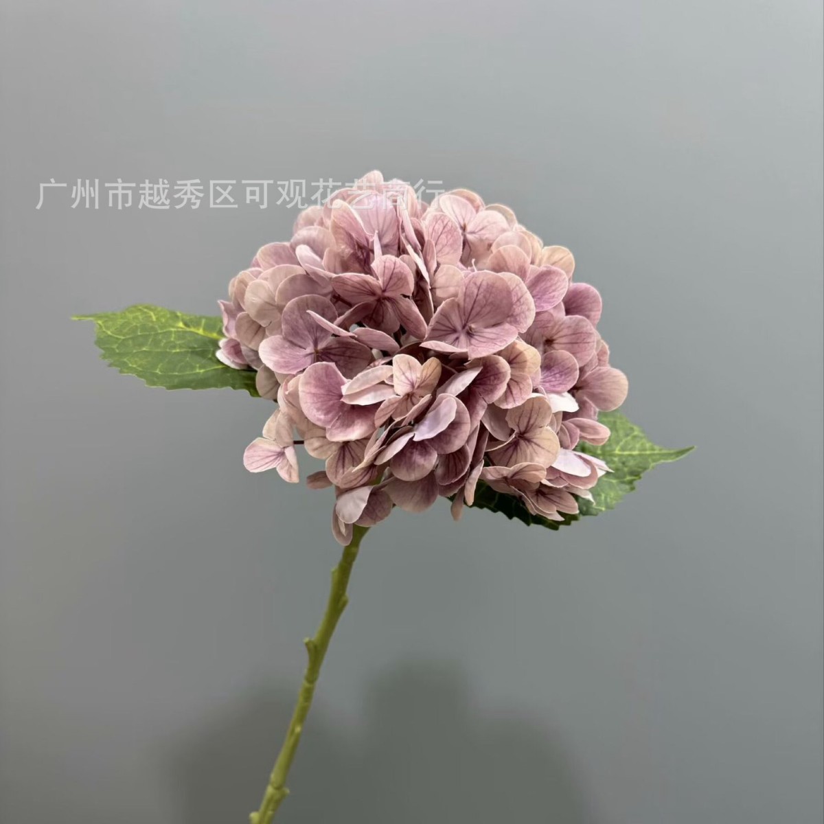 진한 보라색
