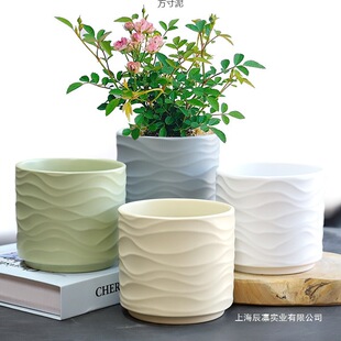 �����մ����l���m�����m���þG�}�S�Gֲ����ins�L�؃r��������