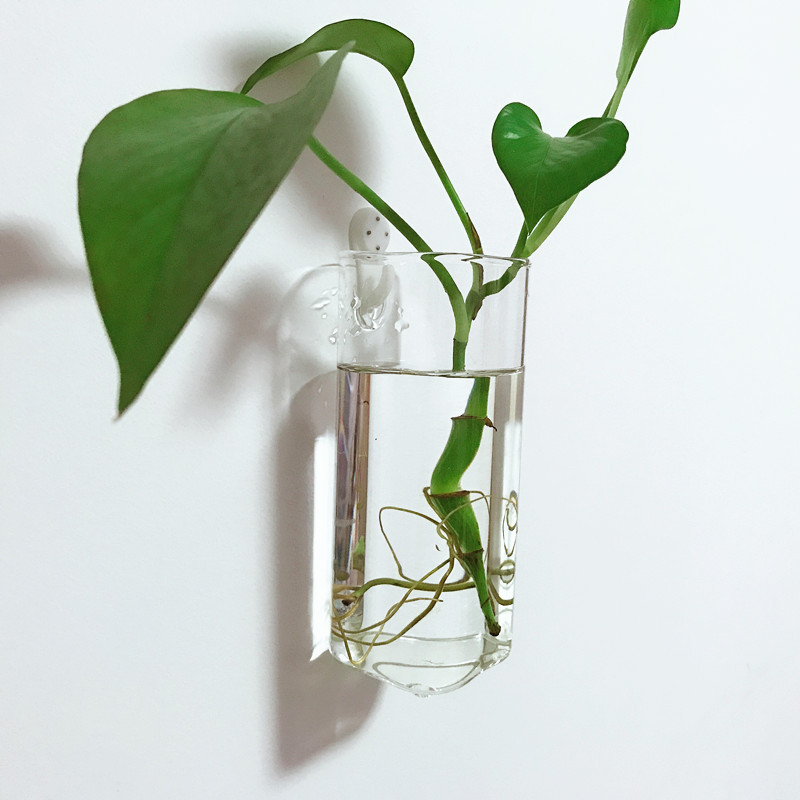 创意壁挂水培绿萝花瓶方柱形圆柱透明玻璃现代简约挂墙上玻璃花盆