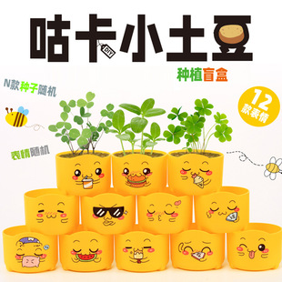 Guka Small Potatoes for Kidsren Planting Blind Box Florals and Green Plants Easy to Feed Seeds Plants Growth Observation Desktop Potted Plants
