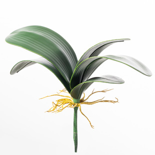 �m���~����Gֲ�����m�~ޥ�m�~���m�~�f���m�~���Լٻ��m���~�ٻ�
