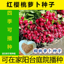 �����}���N�ӷN��ˮ����ȫ�߮a�̨�ļ����Բ˷N�ݼt�����߲���