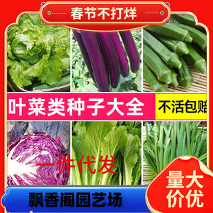 һ�����l�߲˷N���������ļ��̨���������S�Ͻz�Ϸ��������²���