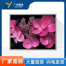 夏普15英寸液晶屏LQ150X1LG91液晶模组16寸21.5寸27寸LCD显示屏幕