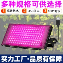 ֲ���ֲ��Ͷ������������������L�a��������҃�usbֲ�����L��