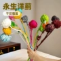 洋蓟永生花干花