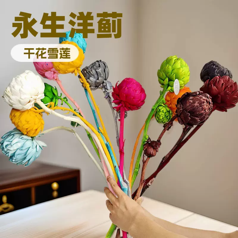 永生雪莲花洋蓟干花软装插花高级民宿网红永生花旱雪莲现货批发