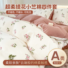 AƷļ׼ȫ2024¿αױ֌W4