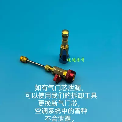 Tool for Refrigerant-Free Maintenance, valve