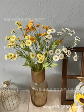 ��ʾշ��滨�Ҿ�ܛ�b�zӰ������߼ٻ����Q�羳��@С�r�����l