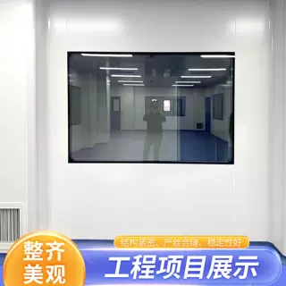 洁净室专用双层中空玻璃防风防尘隔音密闭窗实验室工程定制玻璃窗