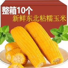 ���r�Ŵ�������10֧ճ���װ��p�͖|���خa�SŴ��Ŵ��Ŵ�����