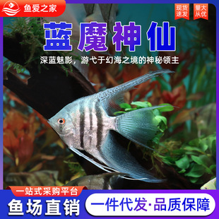 �{ħ�����~�߲������Eʯ�t�^�����~��Ꭷ�~�^�p���w�����~��ˮ�~