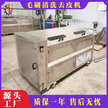 土豆去皮机商用全自动毛刷式芋头姜红薯莲藕电动清洗药材脱皮机器