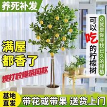 ļϷˮ͏dʘͥԺȩֲ̨