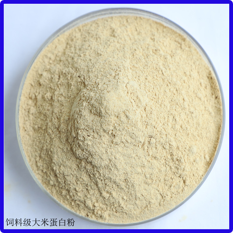 供应饲料级大米蛋白粉   大米蛋白粉饲料添加