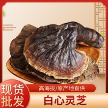 ���]���ذ����`֥�y�b������`֥������� ���a�I�BƷɢ�b���l