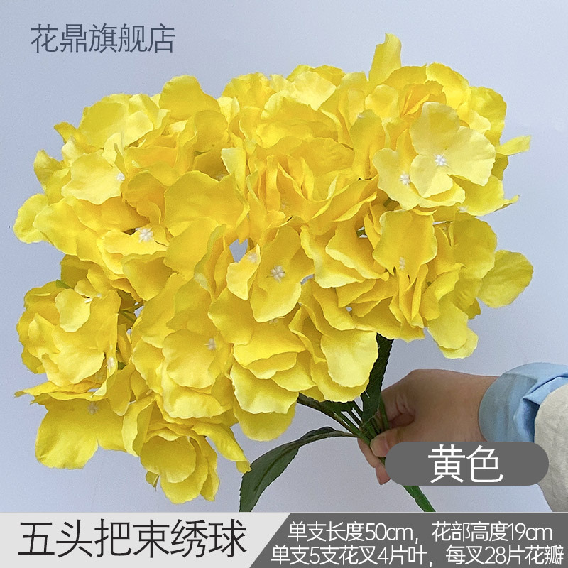 다섯 송이 수국 H 옐로우