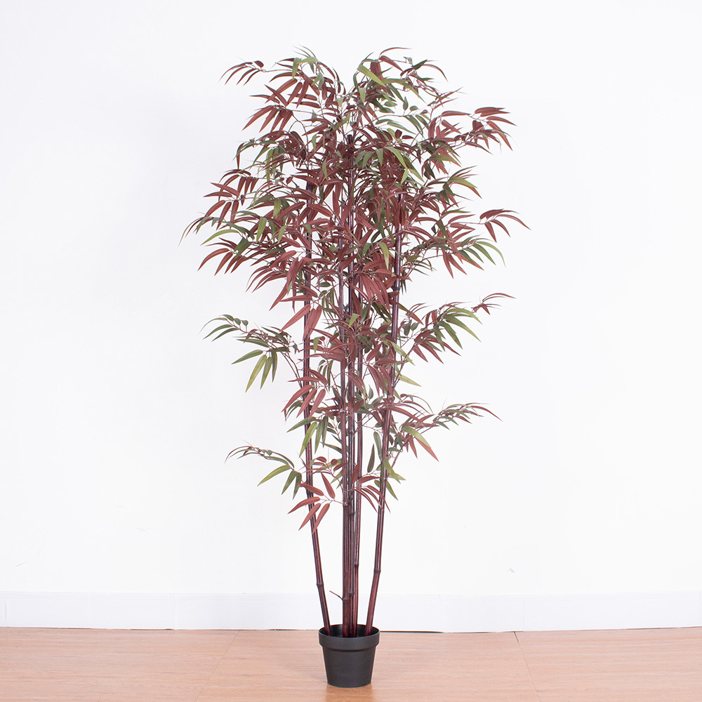 150cm de bambú de hoja roja