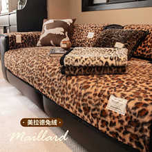 �й��LƤɳ�l�|��2025�¿���ë�q���yɳ�l�w��һƬʽ�̶��������|