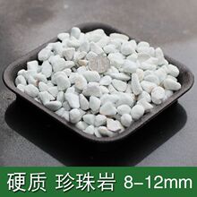 �����Ҵ��w����ʯ�B���I�B���m��ֲ�϶����P���¼������m�@ˇ���|