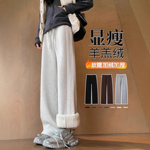 加绒加厚阔腿裤冬季运动裤羊羔绒窄版直筒裤子宽松2025新款日常裤