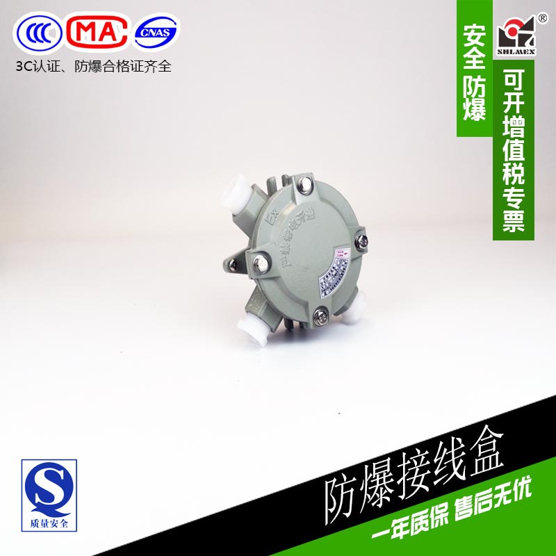 新黎明防爆接线盒平盖吊盖直通三通弯通AH-DN25G1电缆接线盒厂销
