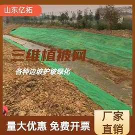 三维网固土网护坡盖土网绿化土工格网高速边坡植草网三维植被网