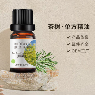 ��������ð�Ħ�����沿��侫�� ����������spa�����η�����