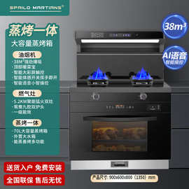 洛伟思火星人集成灶猛火大吸力自动清洗智能语音蒸烤一体猛火劲吸