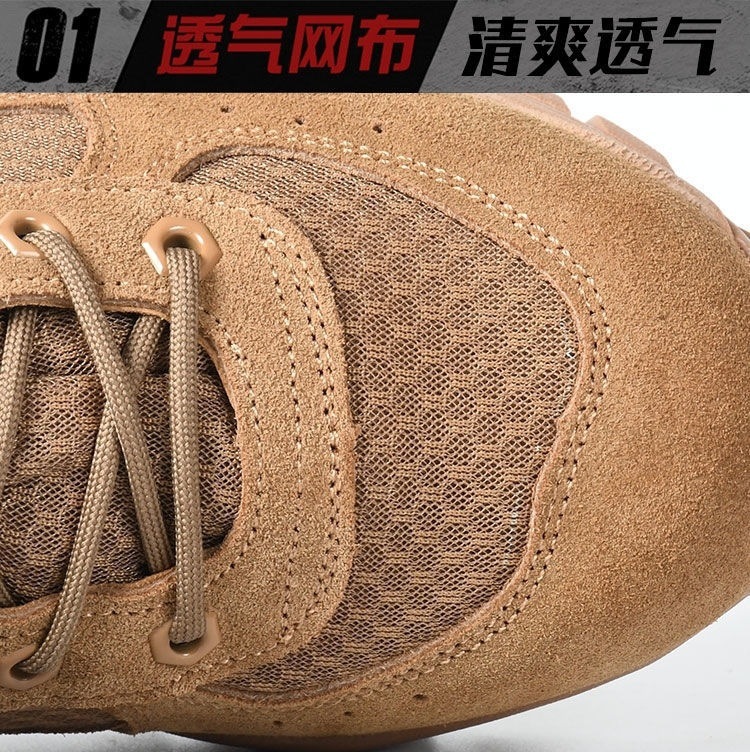 b324482d-0558-4177-b365-eabe70fcaf63.jpe