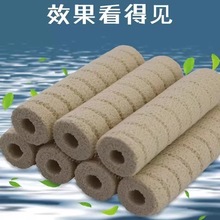 �~���^�V���^�V������������{�׼����������ˮ�~���^�V��������