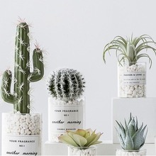 ����ֲ�q�����������ƶ���ֲ��[���Gֲ�辰�͏d�Ҿ��k�����b�Ʒ