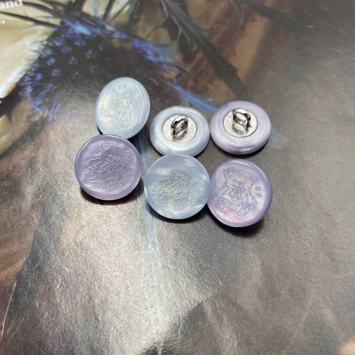 2024-08-28 39803.jpg