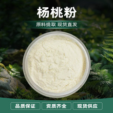 杨桃粉 白色粉末 易溶于水 杨桃果香 干燥避光储存 现货批发