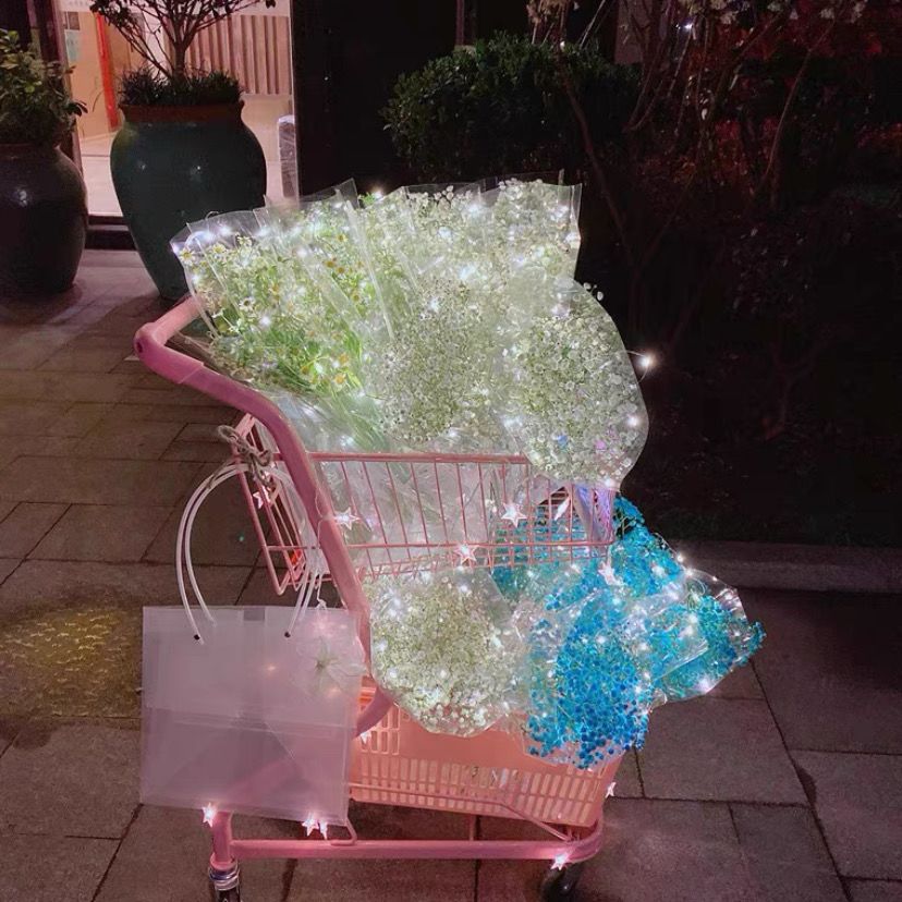 超市双层网红购物车  摆摊零食店便利店购物车 网红摆摊购物车