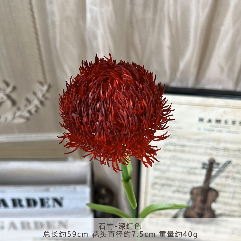 2018 - dianthus - deep red