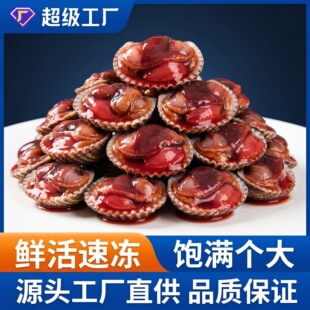 Ѫ���������纣�r��ʳ����Ѫ��ѩ������