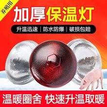 保温灯猪用养殖专用取暖灯小鸡仔猪育雏兽用加热烤灯加温保暖灯泡