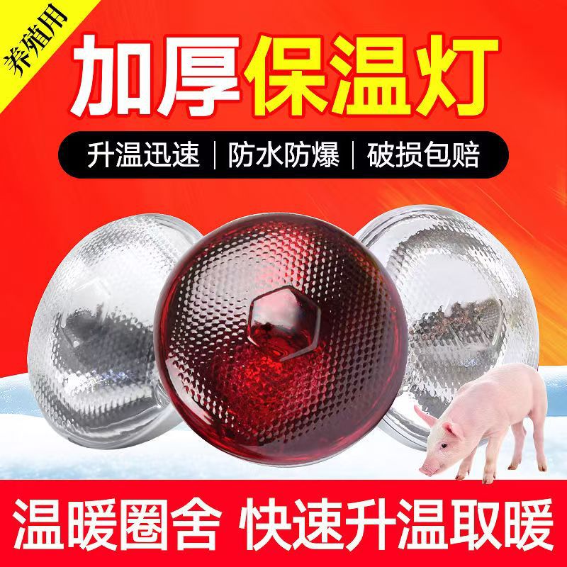 保温灯猪用养殖专用取暖灯小鸡仔猪育雏兽用加热烤灯加温保暖灯泡