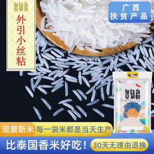 泰國香米大米 5斤10斤長粒香米茉莉香米晚稻油粘絲苗秈米批發大米