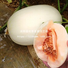 ��������ϷN�Ӵ�ȫ�����ϷN���ļ������G���ش��������������