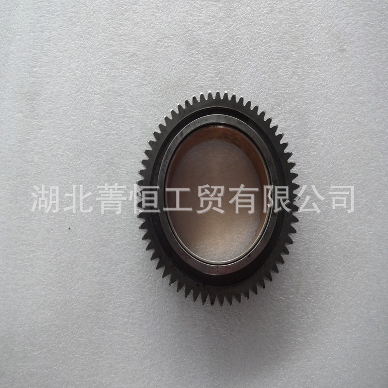 High Pressure Oil Pump Idler Gear Assy D5010477057