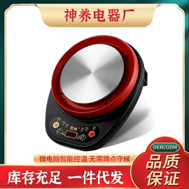 养生壶;电炖锅;电热炉