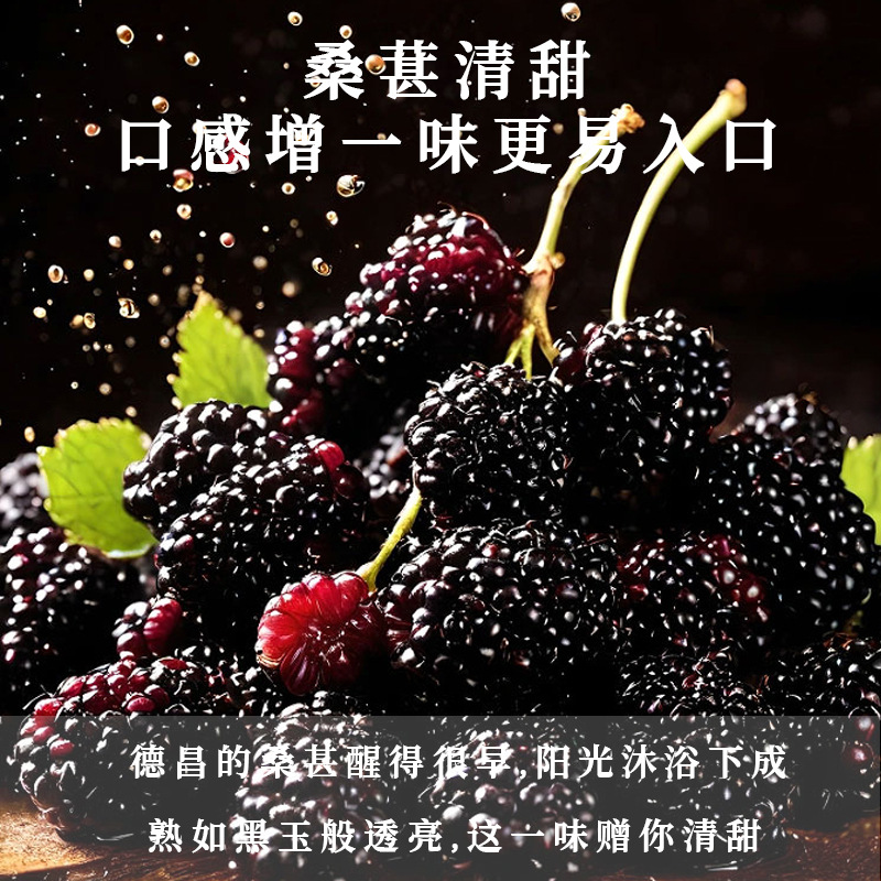 Wu Zhi Mao Tao Fu Ling Gao (Five-Finger Peach & Poria Paste) — Steamed Herbal Paste, 220g Jar overview