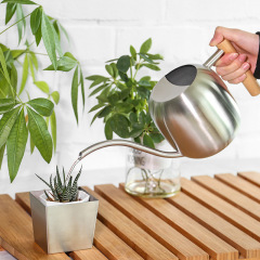 Watering Can Stainless Steel Plant Watering Home New Model Metal Long Neck Watering Can Gadget Spray Bottle 1200ML