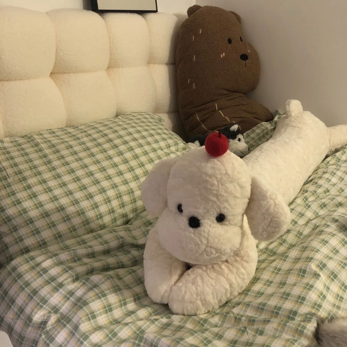 하얀 체리 강아지