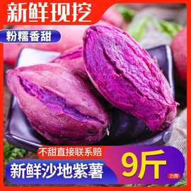 红薯批发紫薯新鲜紫薯现挖现发沙地紫薯番薯紫心蜜薯地瓜甜糯无丝