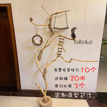 ��֦�B���W�^��ҧ������K��ǧ������W����վ̨�B�C���P�Bվվ��